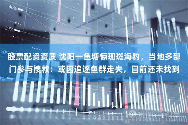 股票配资资质 沈阳一鱼塘惊现斑海豹，当地多部门参与搜救：或因追逐鱼群走失，目前还未找到